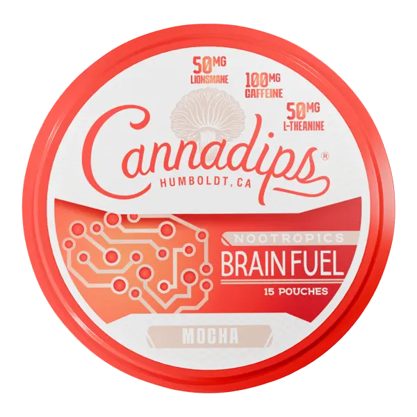 BUY 1 GET 1 FREE Mocha CANNADIPS Brain Fuel Pouches | Vape Amazon India