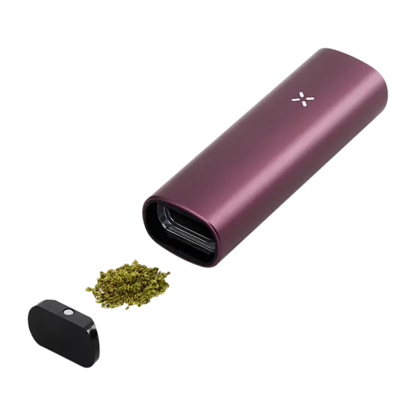 BUY 1 GET 1 FREE PAX Plus Complete Kit | Vape Amazon India Pax