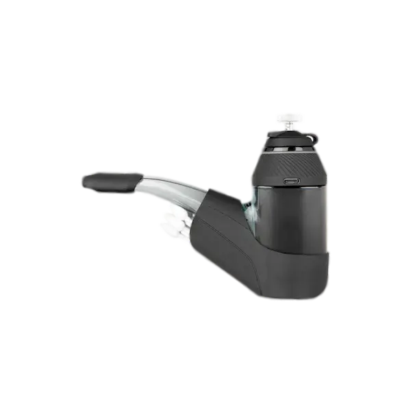 BUY 1 GET 1 FREE Proxy Travel Pack | The Herbal Store