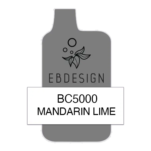 BUY 1 GET 1 FREE Mandarin Lime Elf Bar 5000 | The Herbal Store