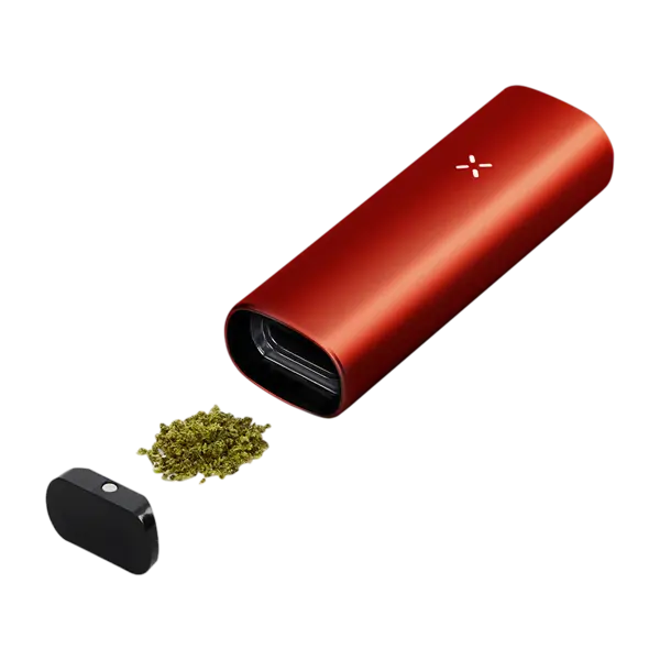 BUY 1 GET 1 FREE PAX Mini | Vape Amazon India Pax