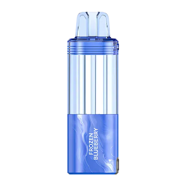 BUY 1 GET 1 FREE Frozen Blueberry FOGER Switch Pro Disposable | The Herbal Store